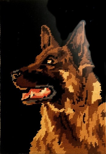 Cane pastore quadro punto - pastore,